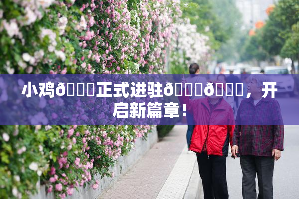 小鸡🐔正式进驻🍑🔞，开启新篇章！