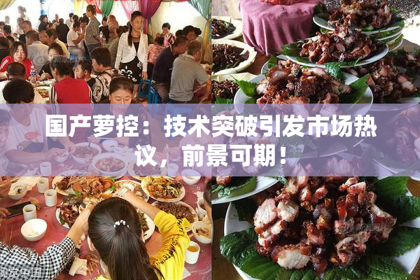 国产萝控：技术突破引发市场热议，前景可期！