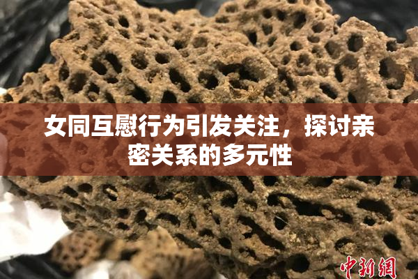 女同互慰行为引发关注，探讨亲密关系的多元性