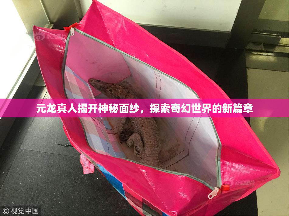元龙真人揭开神秘面纱，探索奇幻世界的新篇章