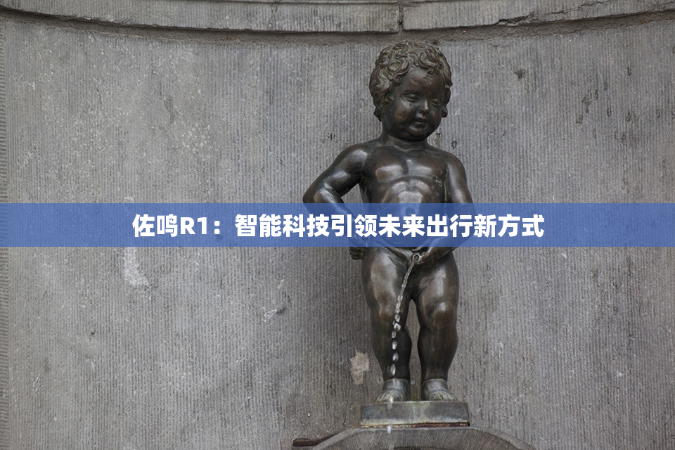佐鸣R1：智能科技引领未来出行新方式
