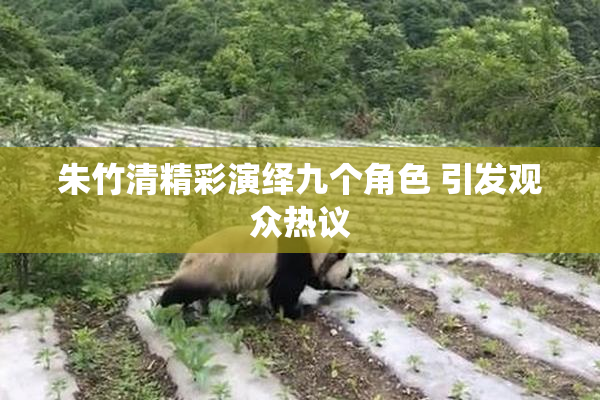 朱竹清精彩演绎九个角色 引发观众热议