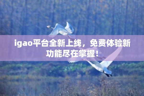 igao平台全新上线，免费体验新功能尽在掌握！