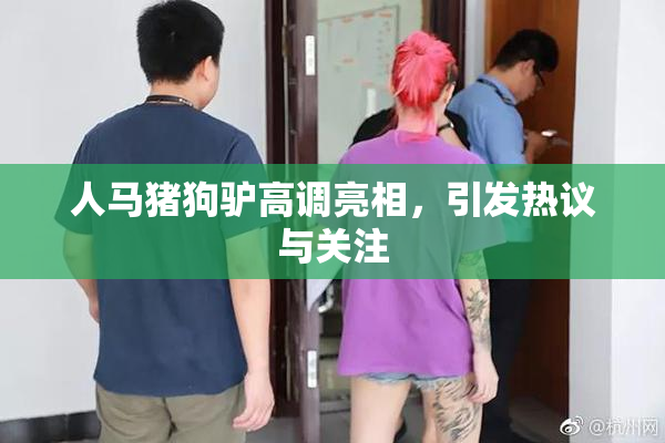 人马猪狗驴高调亮相，引发热议与关注