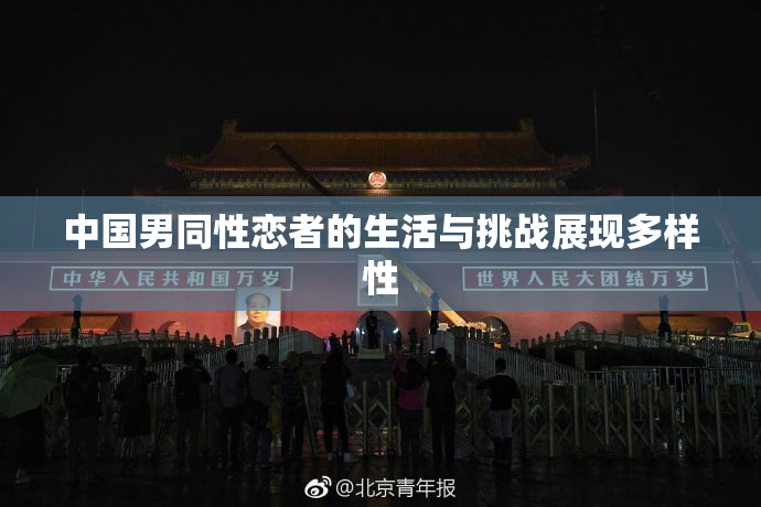 中国男同性恋者的生活与挑战展现多样性