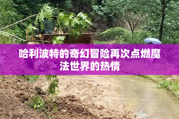 哈利波特的奇幻冒险再次点燃魔法世界的热情