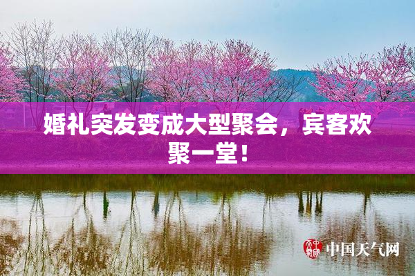 婚礼突发变成大型聚会，宾客欢聚一堂！