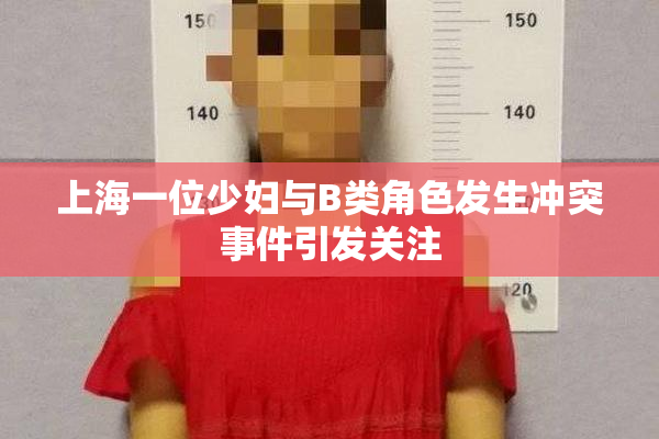 上海一位少妇与B类角色发生冲突事件引发关注