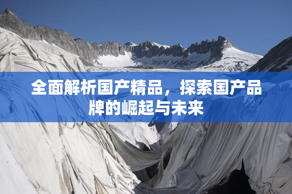 全面解析国产精品，探索国产品牌的崛起与未来