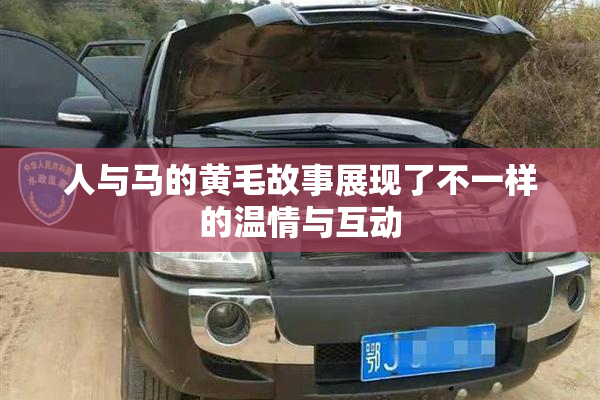 人与马的黄毛故事展现了不一样的温情与互动