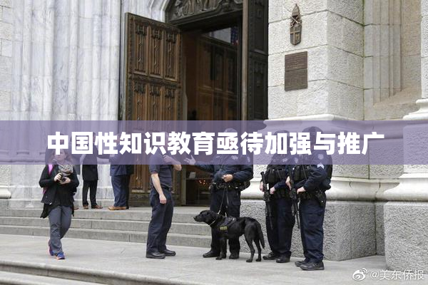 中国性知识教育亟待加强与推广