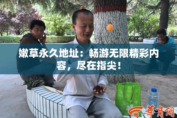 嫩草永久地址：畅游无限精彩内容，尽在指尖！