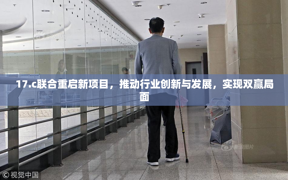 17.c联合重启新项目，推动行业创新与发展，实现双赢局面
