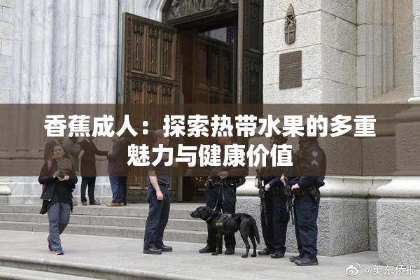 香蕉成人：探索热带水果的多重魅力与健康价值
