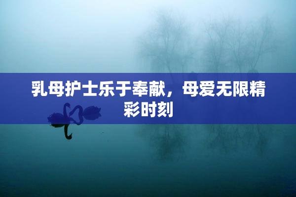 乳母护士乐于奉献，母爱无限精彩时刻