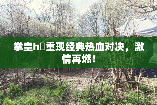 拳皇h婬重现经典热血对决，激情再燃！