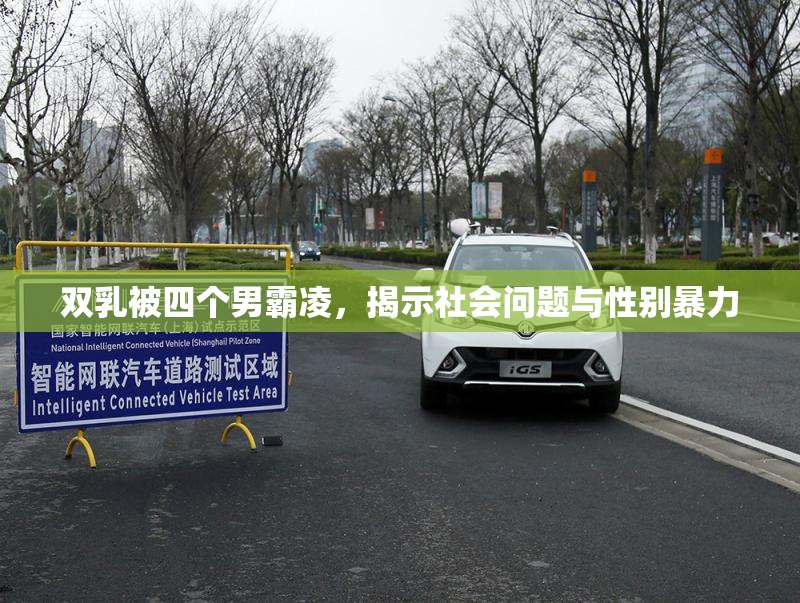 双乳被四个男霸凌，揭示社会问题与性别暴力
