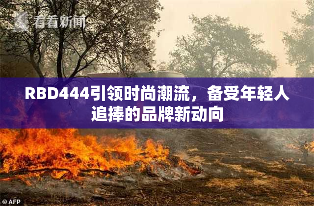 RBD444引领时尚潮流，备受年轻人追捧的品牌新动向