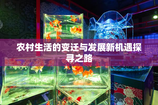农村生活的变迁与发展新机遇探寻之路