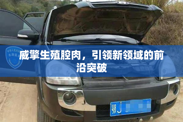 威擎生殖腔肉，引领新领域的前沿突破