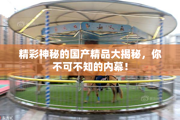 精彩神秘的国产精品大揭秘，你不可不知的内幕！