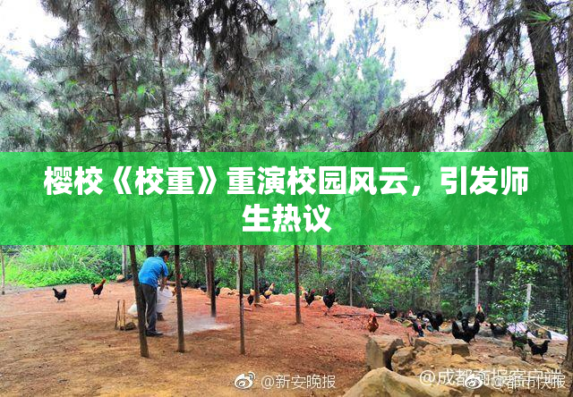 樱校《校重》重演校园风云，引发师生热议