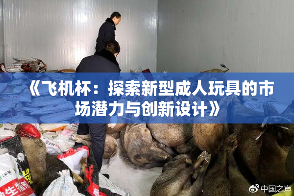 《飞机杯：探索新型成人玩具的市场潜力与创新设计》