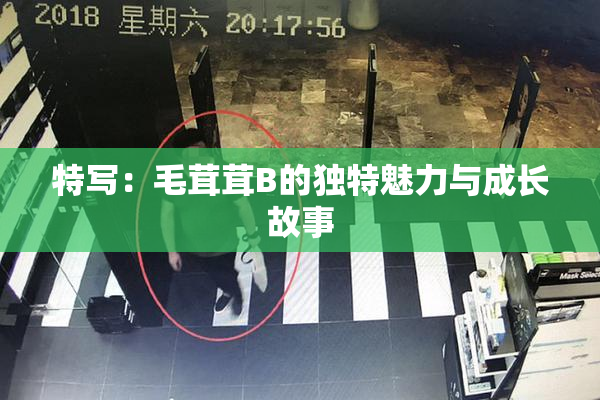 特写：毛茸茸B的独特魅力与成长故事