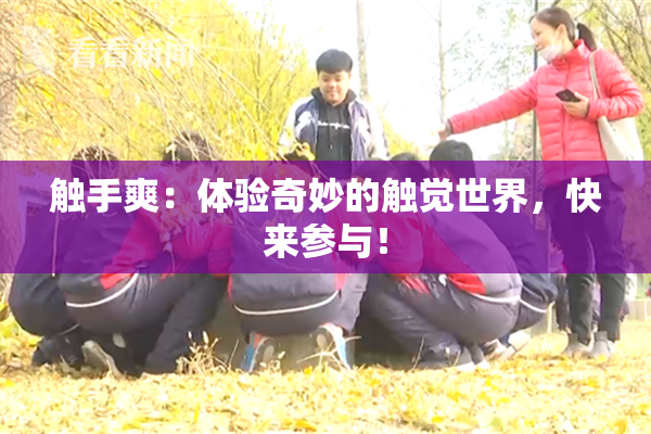 触手爽：体验奇妙的触觉世界，快来参与！