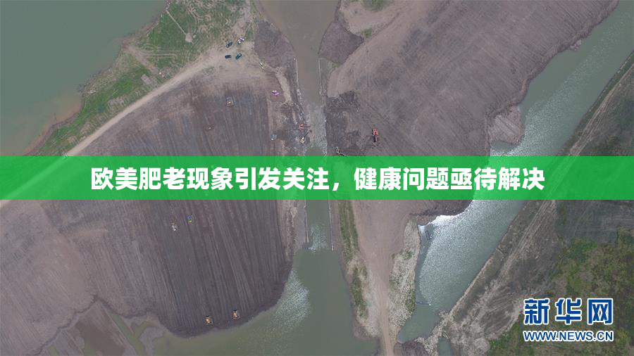 欧美肥老现象引发关注，健康问题亟待解决
