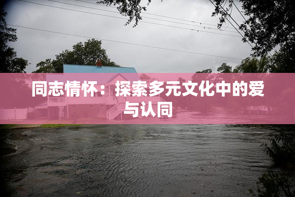 同志情怀：探索多元文化中的爱与认同