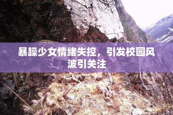 暴躁少女情绪失控，引发校园风波引关注