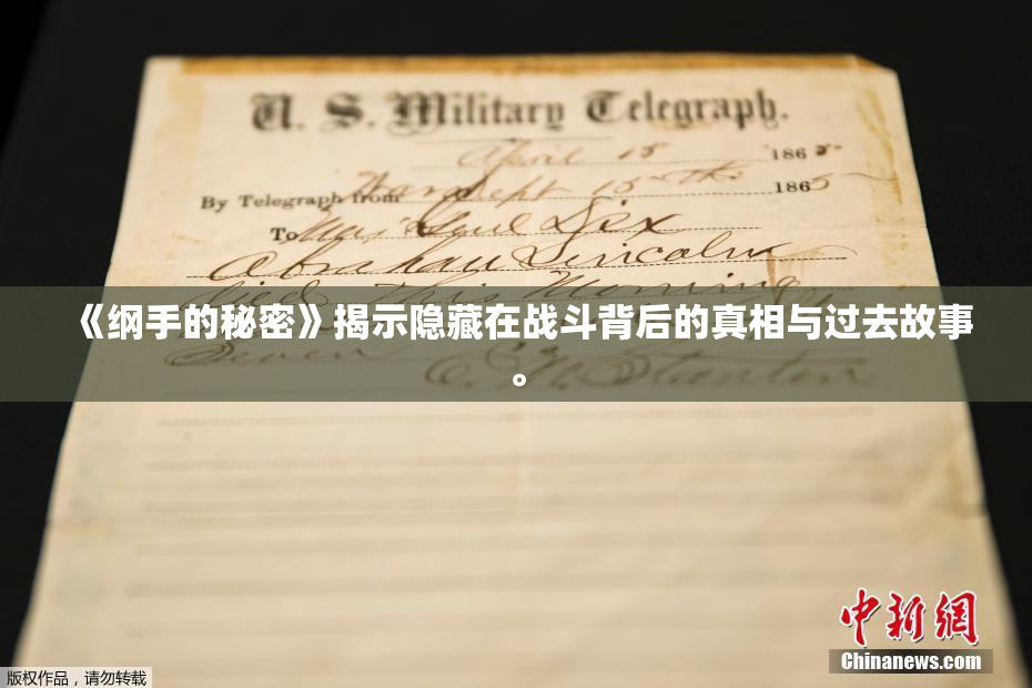 《纲手的秘密》揭示隐藏在战斗背后的真相与过去故事。