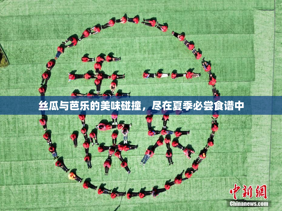 丝瓜与芭乐的美味碰撞，尽在夏季必尝食谱中