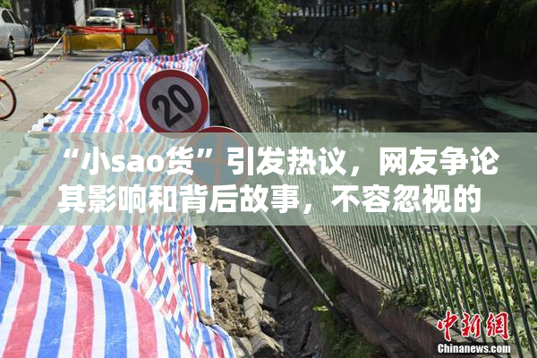 “小sao货”引发热议，网友争论其影响和背后故事，不容忽视的文化现象。