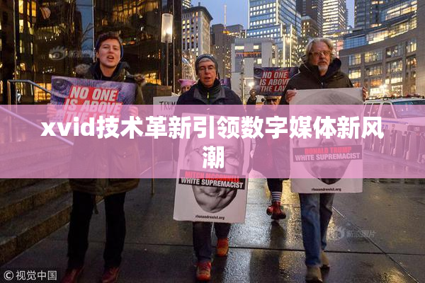 xvid技术革新引领数字媒体新风潮