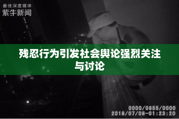残忍行为引发社会舆论强烈关注与讨论