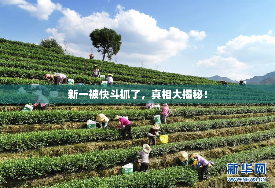 新一被快斗抓了，真相大揭秘！