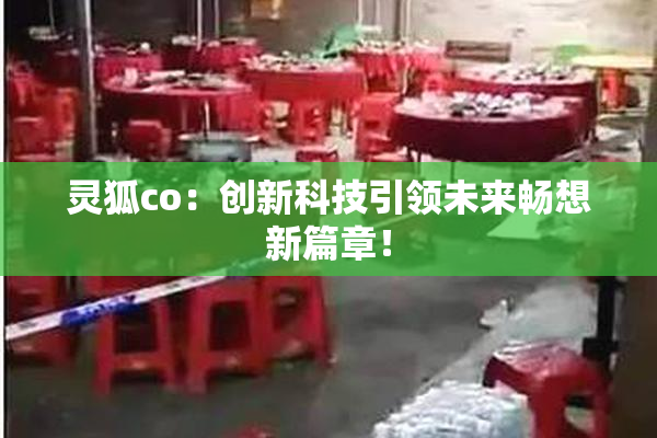 灵狐co：创新科技引领未来畅想新篇章！