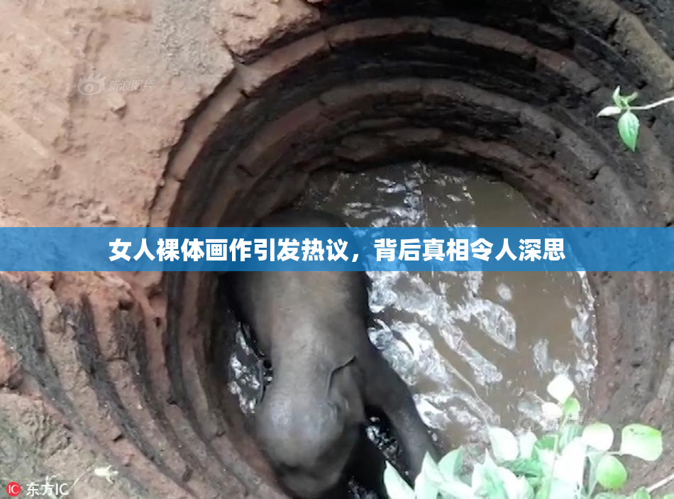 女人裸体画作引发热议，背后真相令人深思