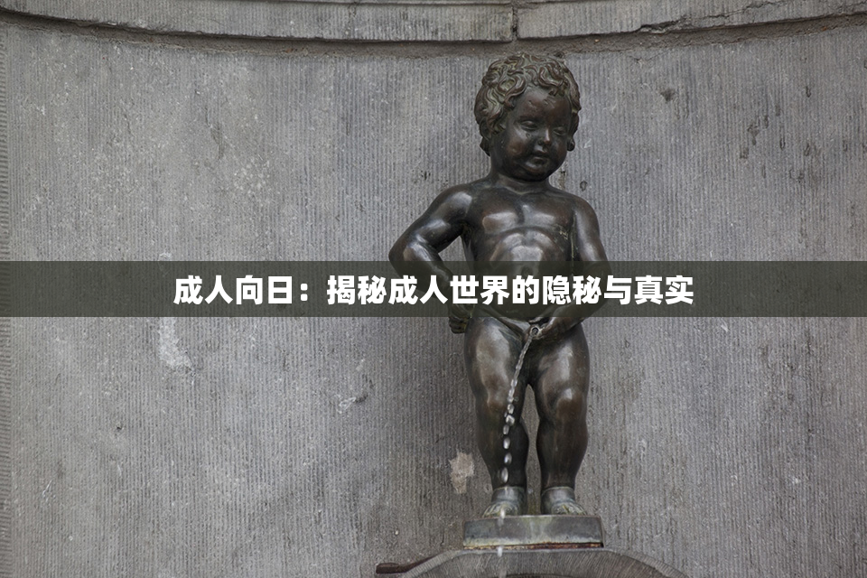成人向日：揭秘成人世界的隐秘与真实