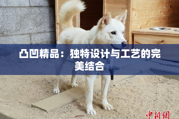 凸凹精品：独特设计与工艺的完美结合