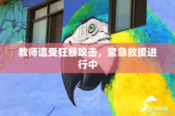 教师遭受狂暴攻击，紧急救援进行中