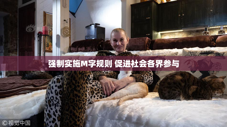 强制实施M字规则 促进社会各界参与