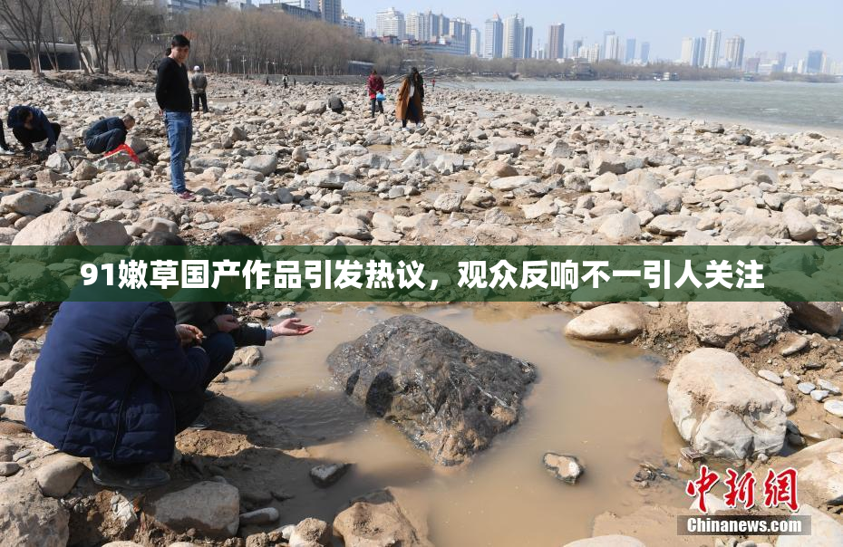 91嫩草国产作品引发热议，观众反响不一引人关注