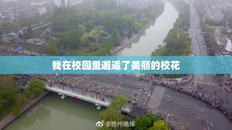 我在校园里邂逅了美丽的校花