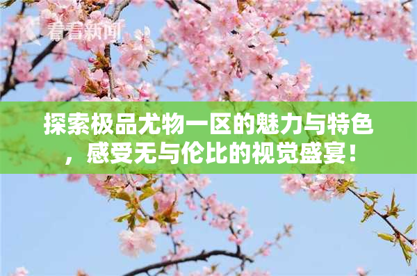 探索极品尤物一区的魅力与特色，感受无与伦比的视觉盛宴！