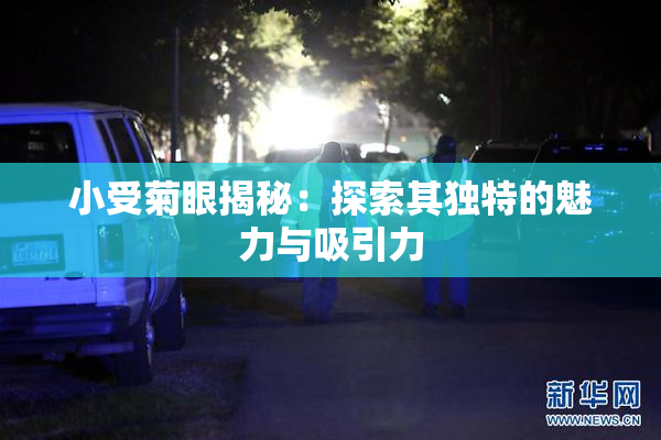 小受菊眼揭秘：探索其独特的魅力与吸引力