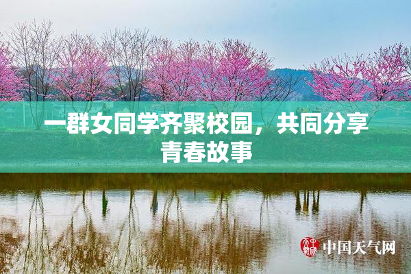 一群女同学齐聚校园，共同分享青春故事