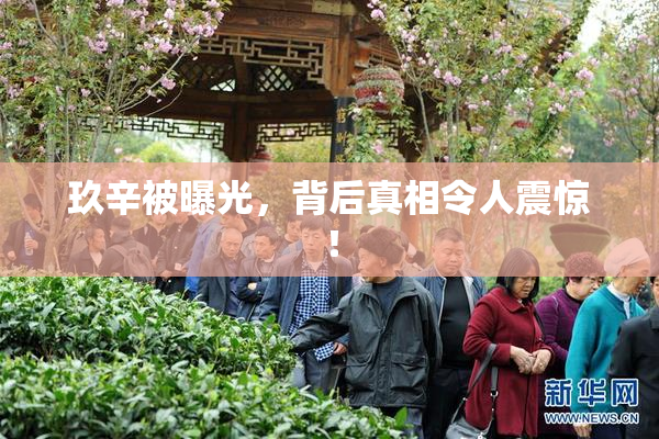 玖辛被曝光，背后真相令人震惊！